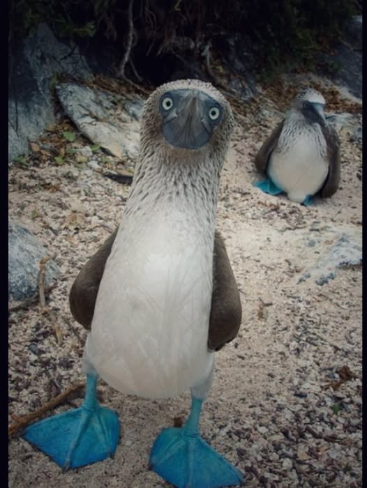 "Hey there! Just hanging out on the beach and watching the waves go in and out. How about you?"
